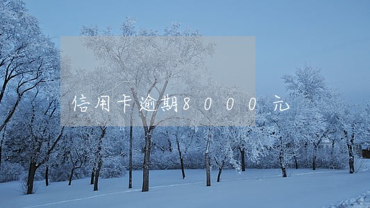 信用卡逾期8000元 信用卡逾期8000元