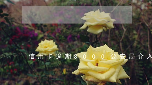 信用卡逾期8000公安局介入 信用卡逾期8000公安局介入