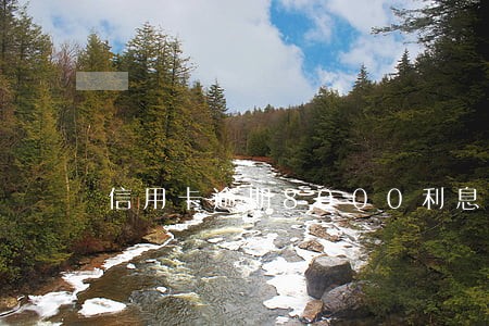 信用卡逾期8000利息