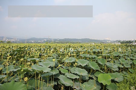信用卡逾期8000多久会被起诉 信用卡逾期8000多久会被起诉