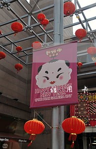 信用卡逾期8000立额侦查