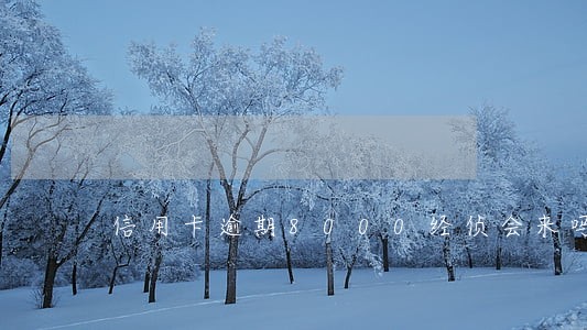 信用卡逾期8000经侦会来吗