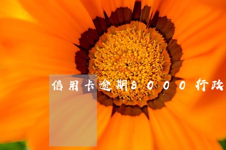 信用卡逾期8000行政执行