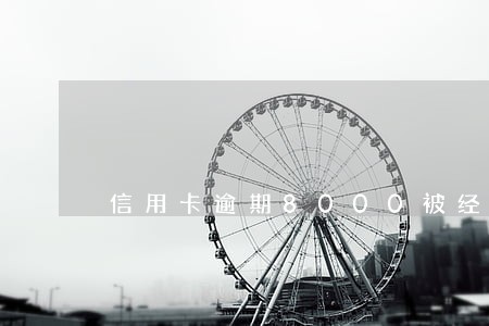 信用卡逾期8000被经侦 信用卡逾期8000被经侦