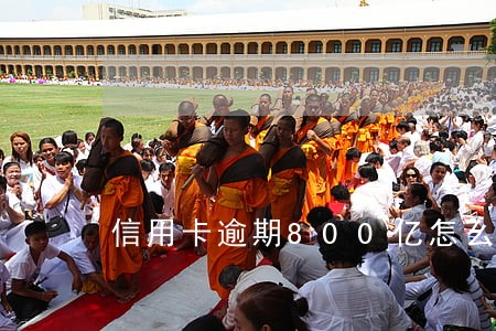 信用卡逾期800亿怎么还 信用卡逾期800亿怎么还