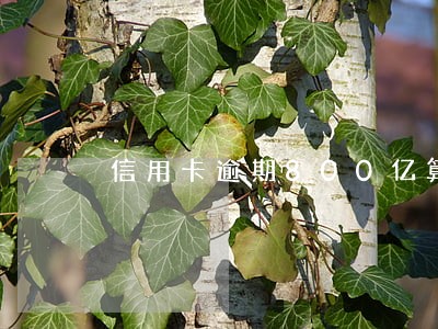 信用卡逾期800亿算什么 信用卡逾期800亿算什么