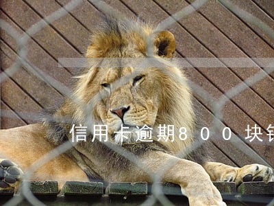 信用卡逾期800块钱 信用卡逾期800块钱