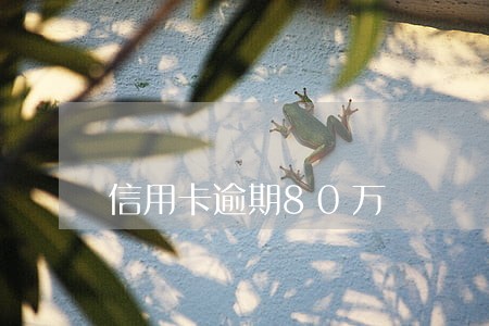 信用卡逾期80万 信用卡逾期80万