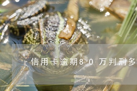 信用卡逾期80万判刑多少年 信用卡逾期80万判刑多少年