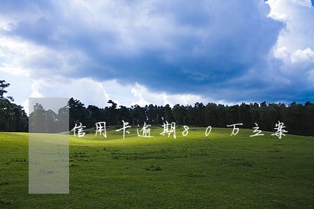信用卡逾期80万立案