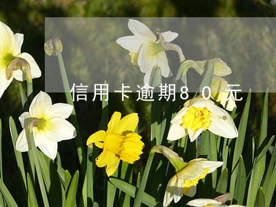 信用卡逾期80元 信用卡逾期80元
