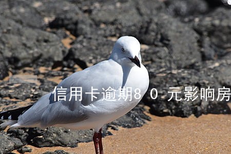 信用卡逾期80元影响房贷吗 信用卡逾期80元影响房贷吗