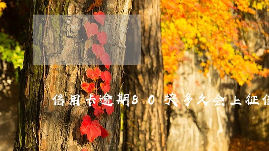 信用卡逾期80块多久会上征信