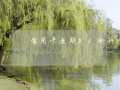 信用卡逾期80块钱5天 信用卡逾期80块钱5天