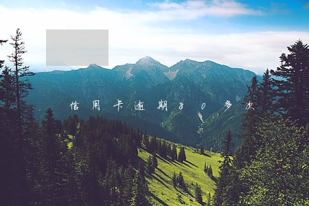 信用卡逾期80多次 信用卡逾期80多次