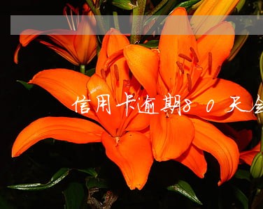 信用卡逾期80天会怎么样 信用卡逾期80天会怎么样