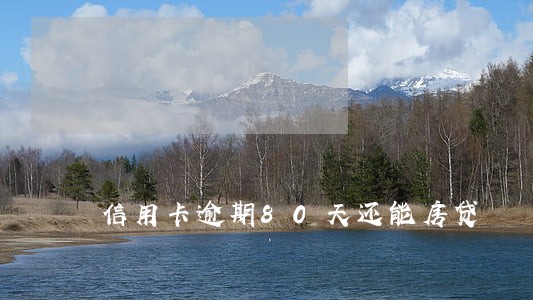 信用卡逾期80天还能房贷 信用卡逾期80天还能房贷