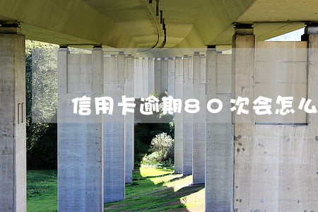 信用卡逾期80次会怎么样 信用卡逾期80次会怎么样