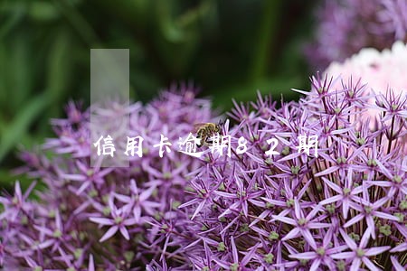 信用卡逾期82期 信用卡逾期82期
