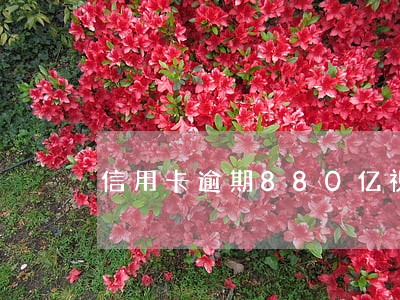 信用卡逾期880亿视频 信用卡逾期880亿视频