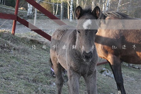 信用卡逾期881亿还不上怎么办 信用卡逾期881亿还不上怎么办