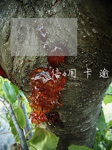 信用卡逾期88影响征信吗 信用卡逾期88影响征信吗