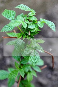 信用卡逾期8万会怎样 信用卡逾期8万会怎样
