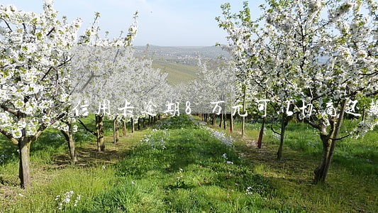 信用卡逾期8万元可以协商还款吗 信用卡逾期8万元可以协商还款吗