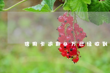 信用卡逾期8万已经收到起诉书 信用卡逾期8万已经收到起诉书