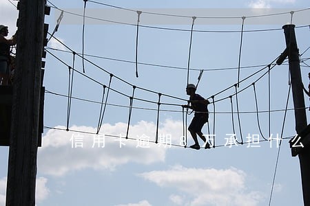 信用卡逾期8万承担什么后果 信用卡逾期8万承担什么后果