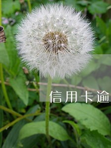 信用卡逾期8万每天多少利息 信用卡逾期8万每天多少利息