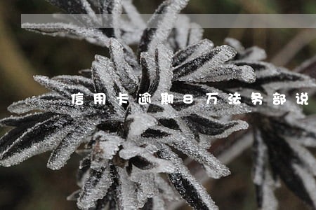 信用卡逾期8万法务部说要报案 信用卡逾期8万法务部说要报案