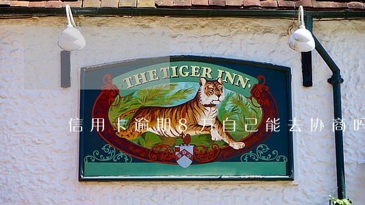 信用卡逾期8万自己能去协商吗 信用卡逾期8万自己能去协商吗