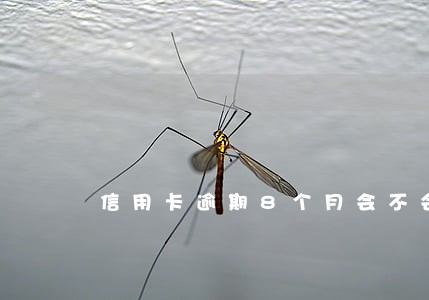 信用卡逾期8个月会不会上网逃 信用卡逾期8个月会不会上网逃