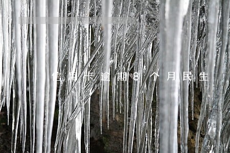 信用卡逾期8个月民生 信用卡逾期8个月民生