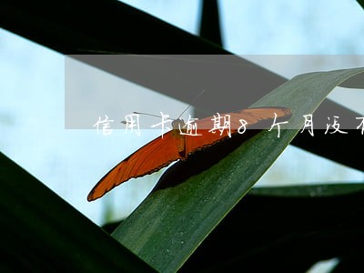 信用卡逾期8个月没有被起诉 信用卡逾期8个月没有被起诉