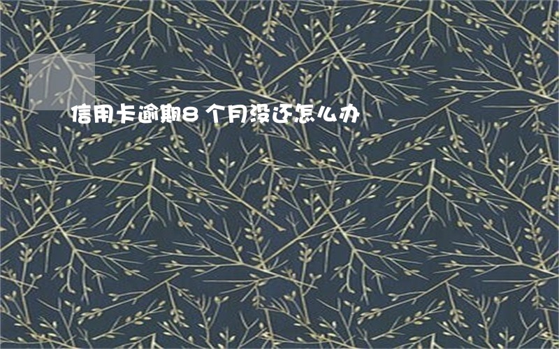 信用卡逾期8个月没还怎么办 信用卡逾期8个月没还怎么办