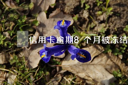 信用卡逾期8个月被冻结