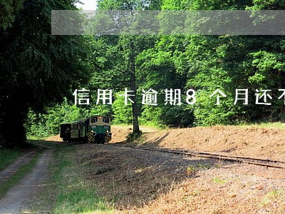 信用卡逾期8个月还不上 信用卡逾期8个月还不上