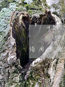 信用卡逾期8了怎么办年 信用卡逾期8了怎么办年