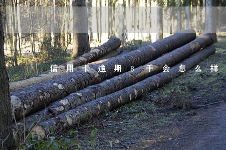 信用卡逾期8千会怎么样