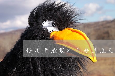信用卡逾期8千每月还几千可以吗 信用卡逾期8千每月还几千可以吗