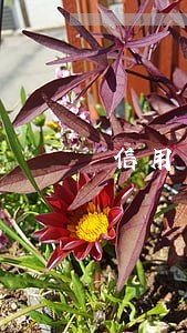 信用卡逾期8天90天后果 信用卡逾期8天90天后果