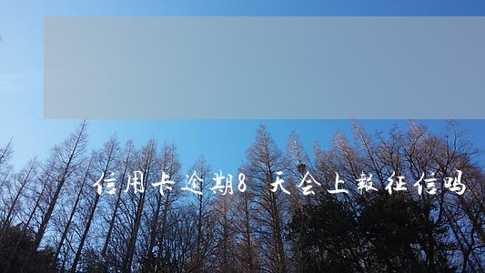 信用卡逾期8天会上报征信吗 信用卡逾期8天会上报征信吗