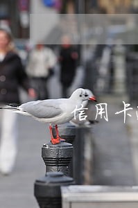 信用卡逾期8天会影响信用卡吗 信用卡逾期8天会影响信用卡吗