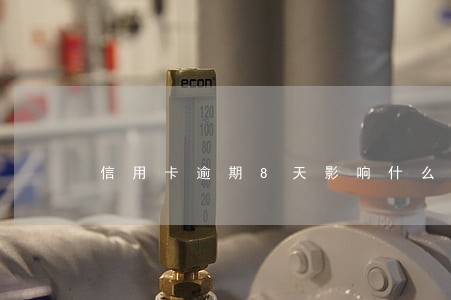 信用卡逾期8天影响什么 信用卡逾期8天影响什么