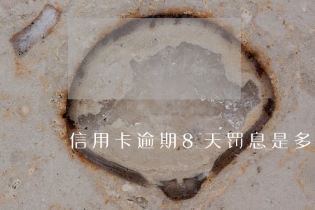 信用卡逾期8天罚息是多少 信用卡逾期8天罚息是多少