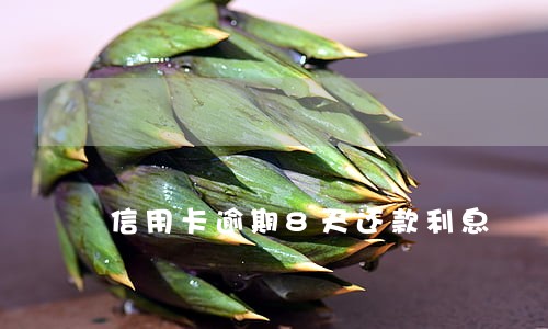 信用卡逾期8天还款利息