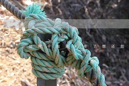 信用卡逾期8年了想还款怎么办 信用卡逾期8年了想还款怎么办