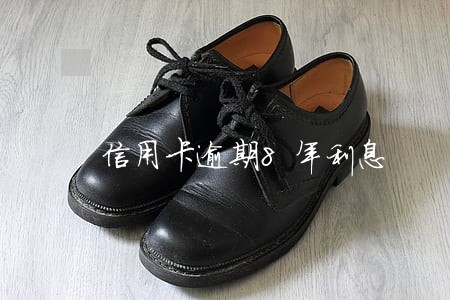 信用卡逾期8年利息 信用卡逾期8年利息